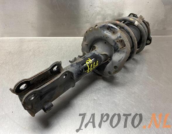 Suspension Strut KIA NIRO I (DE)