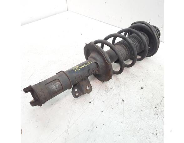 Suspension Strut HYUNDAI i10 (PA)