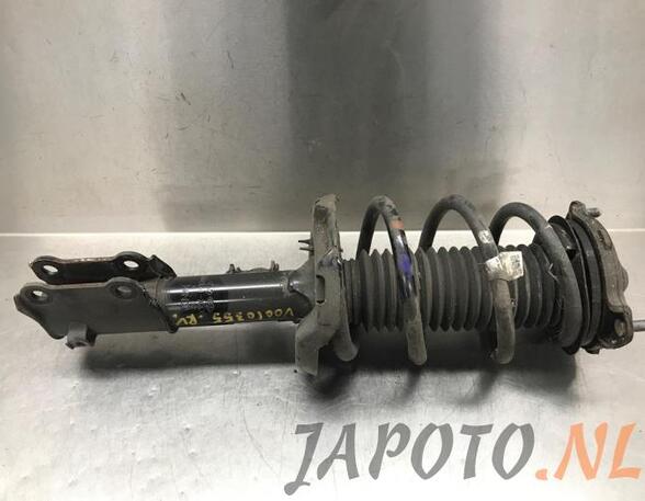 Suspension Strut KIA NIRO I (DE)