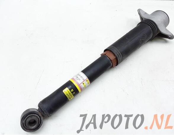 Stoßdämpfer links hinten Toyota RAV 4 V A5 4853042130 P14015876