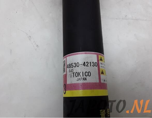 Shock Absorber TOYOTA RAV 4 V (_A5_, _H5_)