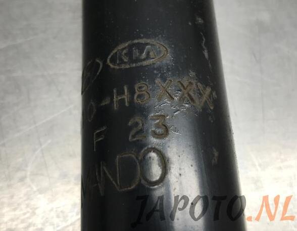 Shock Absorber KIA RIO IV (YB, SC, FB)