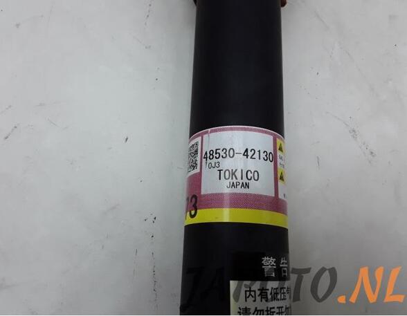 Shock Absorber TOYOTA RAV 4 V (_A5_, _H5_)