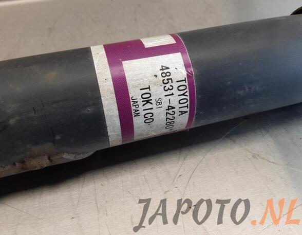 Shock Absorber TOYOTA RAV 4 IV (_A4_)