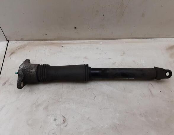 Shock Absorber KIA CARENS III MPV (UN)