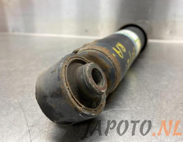 Shock Absorber TOYOTA RAV 4 IV (_A4_)