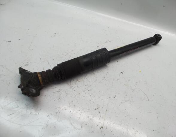 Shock Absorber CHEVROLET AVEO Hatchback (T300)