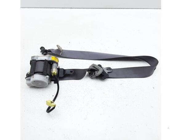 Safety Belts SUZUKI ALTO (FF)