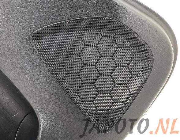 Door Card (Door Panel) SUZUKI IGNIS III (MF)