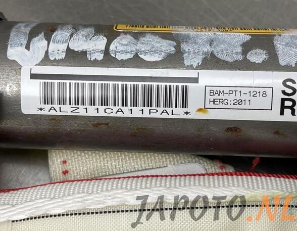 Roof Airbag TOYOTA RAV 4 III (_A3_)