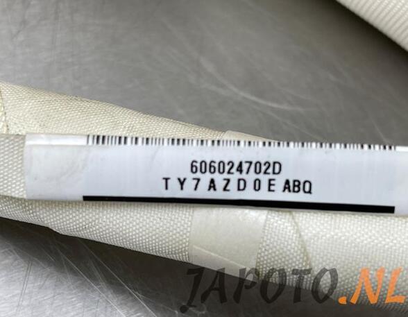 Roof Airbag TOYOTA RAV 4 III (_A3_)