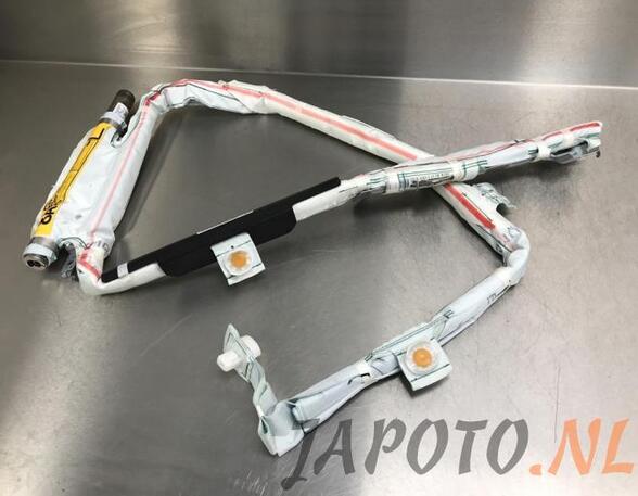 Roof Airbag LEXUS CT (ZWA10_)