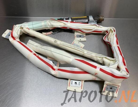 Roof Airbag TOYOTA RAV 4 III (_A3_)