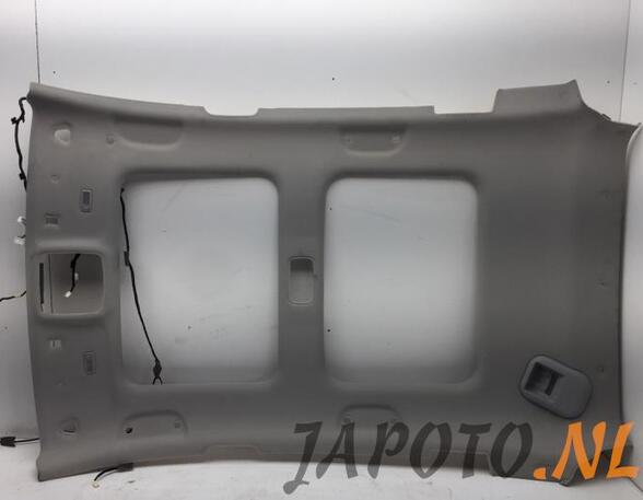 Front Interior Roof Trim Panel HYUNDAI ix35 (LM, EL, ELH), HYUNDAI TUCSON (TL, TLE)