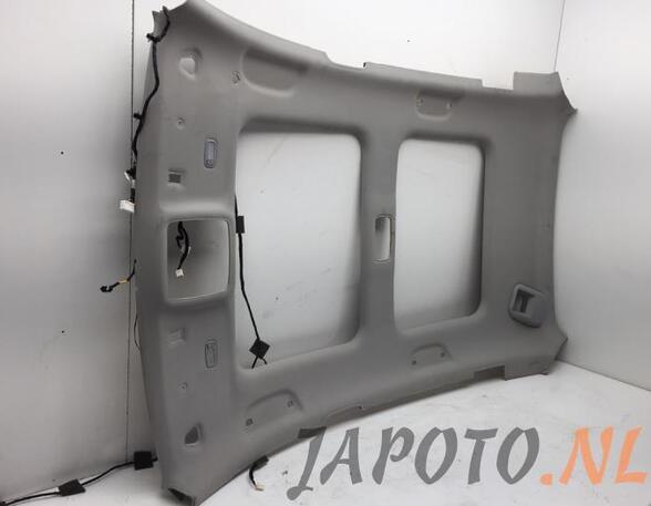 Front Interior Roof Trim Panel HYUNDAI ix35 (LM, EL, ELH), HYUNDAI TUCSON (TL, TLE)