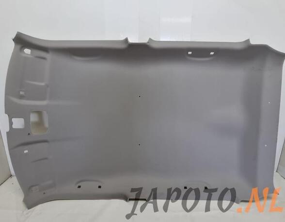 Front Interior Roof Trim Panel SUZUKI SWIFT V (AZ)