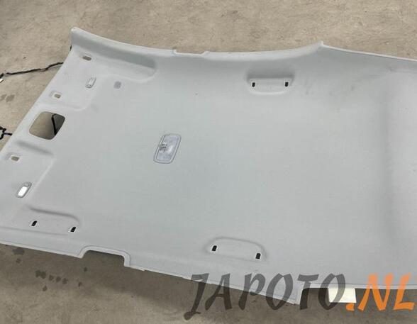 Front Interior Roof Trim Panel KIA RIO III (UB), KIA RIO III Saloon (UB)