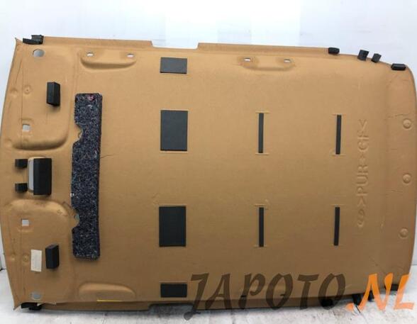 Front Interior Roof Trim Panel HYUNDAI i10 II (BA, IA)