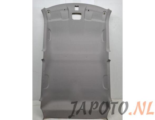 Front Interior Roof Trim Panel SUZUKI SWIFT V (AZ)