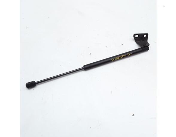 Gas Spring CHEVROLET CAPTIVA (C100, C140)