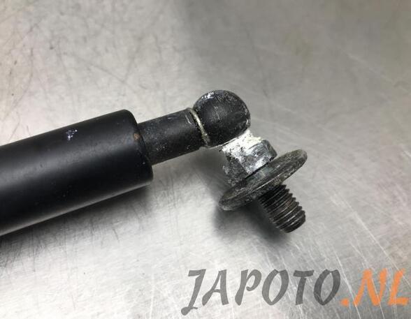 Gas Spring TOYOTA LAND CRUISER PRADO (_J12_)