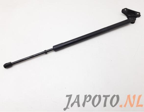 Bootlid (Tailgate) Gas Strut Spring TOYOTA RAV 4 V (_A5_, _H5_)