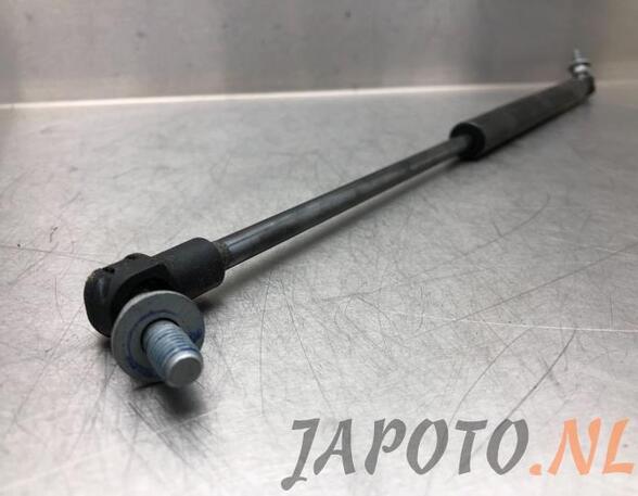 Bootlid (Tailgate) Gas Strut Spring SUZUKI IGNIS III (MF)