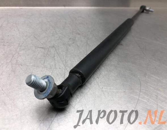 Bootlid (Tailgate) Gas Strut Spring SUZUKI IGNIS III (MF)