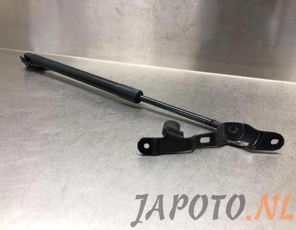 Bootlid (Tailgate) Gas Strut Spring TOYOTA RAV 4 IV (_A4_)