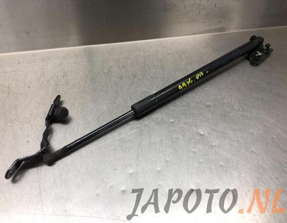 Bootlid (Tailgate) Gas Strut Spring TOYOTA RAV 4 IV (_A4_)