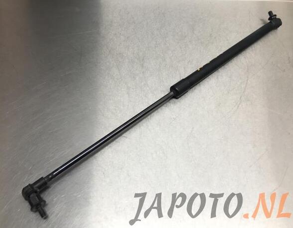 Bootlid (Tailgate) Gas Strut Spring NISSAN QASHQAI II SUV (J11, J11_)