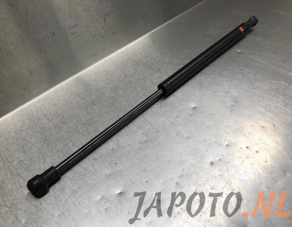 Bootlid (Tailgate) Gas Strut Spring SUZUKI IGNIS III (MF)