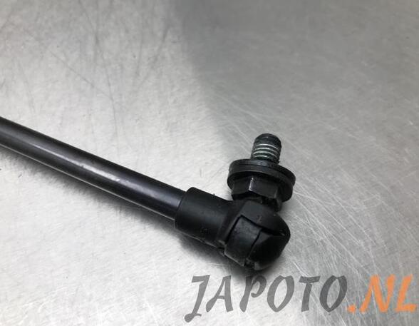 Bootlid (Tailgate) Gas Strut Spring TOYOTA AYGO (_B4_)