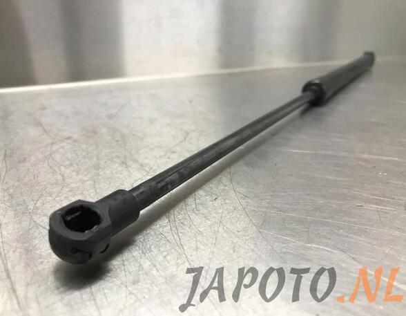 Bootlid (Tailgate) Gas Strut Spring NISSAN QASHQAI II SUV (J11, J11_)