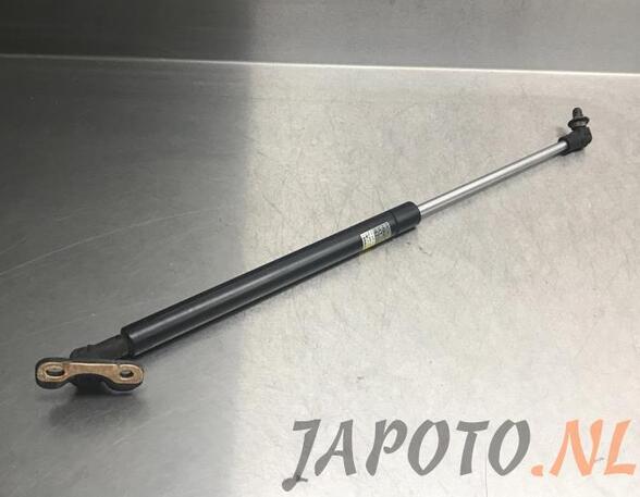 Bootlid (Tailgate) Gas Strut Spring LEXUS CT (ZWA10_)