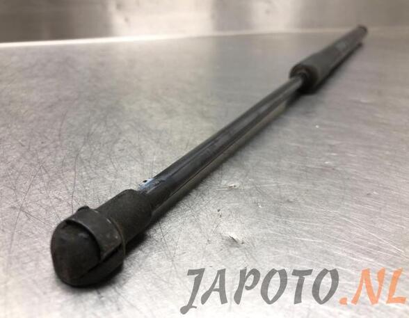 Bootlid (Tailgate) Gas Strut Spring TOYOTA VERSO (_R2_)