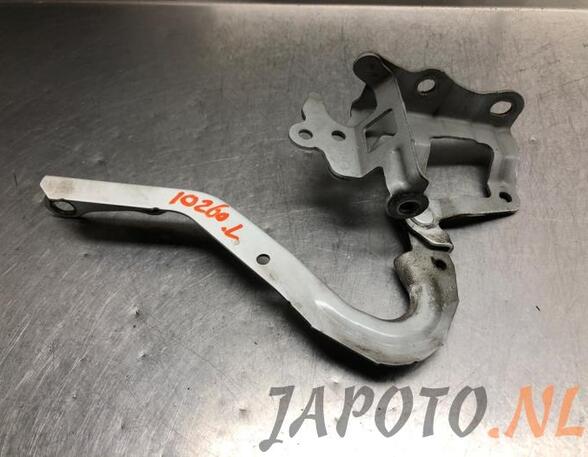 Bonnet Hinge TOYOTA IQ (_J1_)