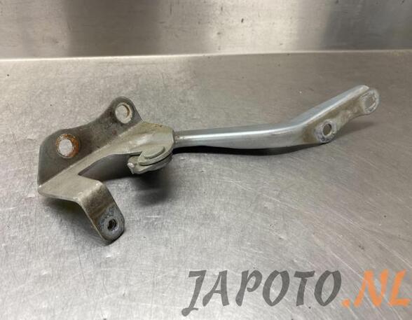 Bonnet Hinge TOYOTA AURIS (_E15_), TOYOTA AURIS (_E18_), TOYOTA AURIS Estate (_E18_)