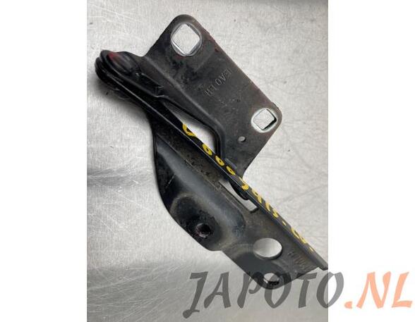 Bonnet Hinge NISSAN NP300 NAVARA (D40), NISSAN NP300 NAVARA Platform/Chassis (D40)