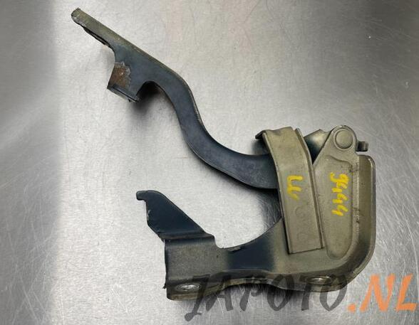 Bonnet Hinge CHEVROLET CAPTIVA (C100, C140)