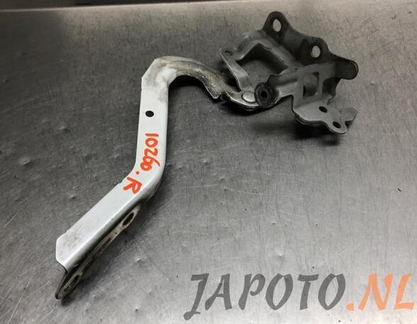 Bonnet Hinge TOYOTA IQ (_J1_)