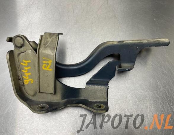 Bonnet Hinge CHEVROLET CAPTIVA (C100, C140)