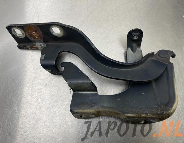 Bonnet Hinge CHEVROLET CAPTIVA (C100, C140)