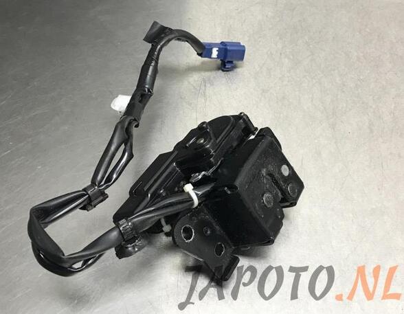 Motorkapkabel LEXUS CT (ZWA10_)