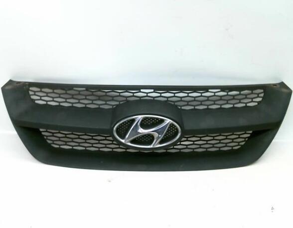 Radiator Grille HYUNDAI SONATA V (NF)