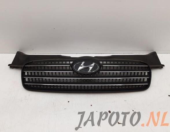 Radiator Grille HYUNDAI ACCENT III Saloon (MC)