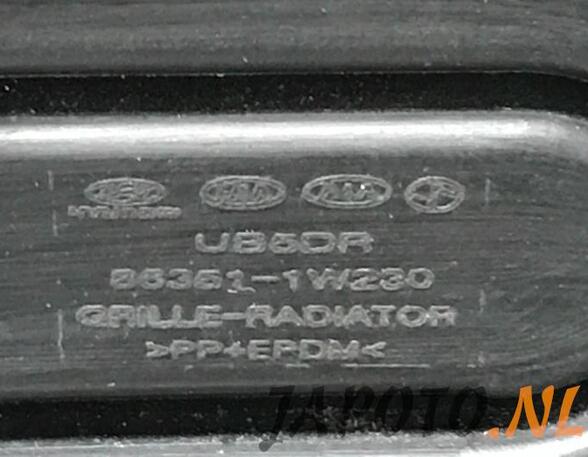 Radiator Grille KIA RIO III (UB)