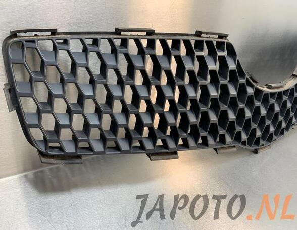 Radiator Grille TOYOTA YARIS (_P9_)