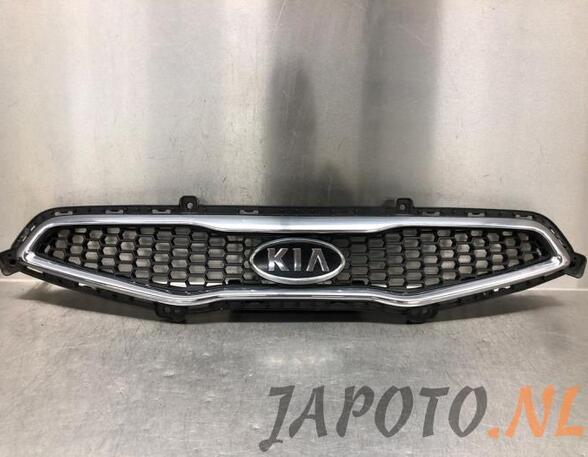 Radiator Grille KIA PICANTO (TA)