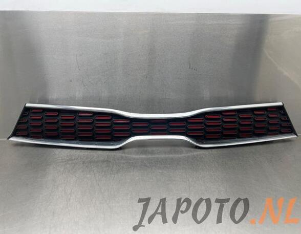 
Grill von einem Kia Picanto (ABP)
